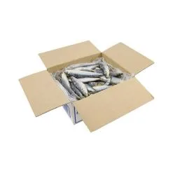 Tweed Bait IQF WA Pilchards 4kg