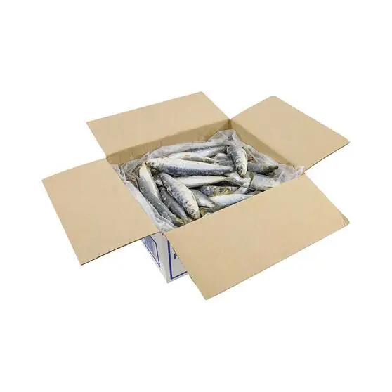 Tweed Bait IQF WA Pilchards 4kg