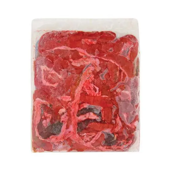 Tweed Bait Fisho Gut