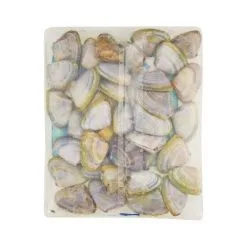 Tweed Bait Pipis In Shell 400g