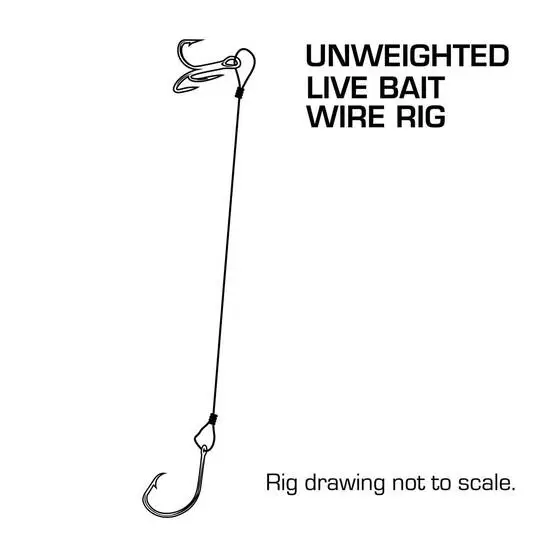 Pryml Unweighted Live Bait Rig