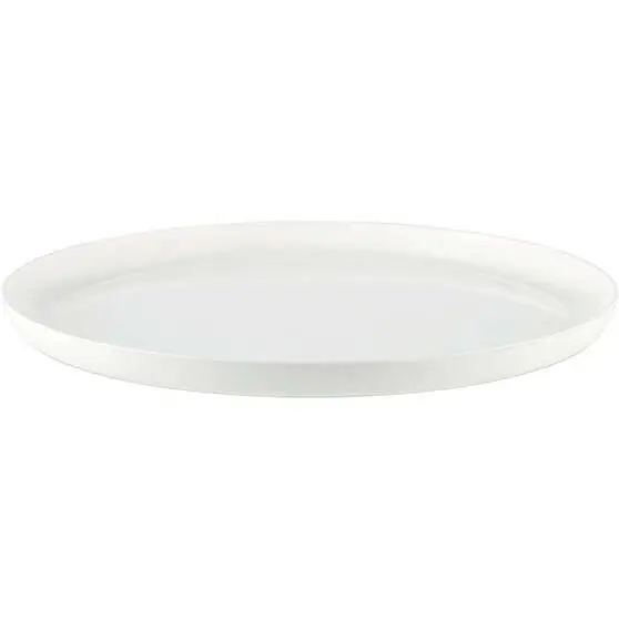 Palm Unbreakable Nonslip Dinner Plate