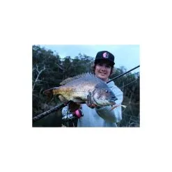 BKK Chimera Weedless Worm Hook