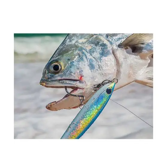 Ocean's Legacy Access Swivel