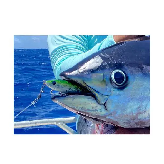 Ocean's Legacy Access Swivel - Image 2